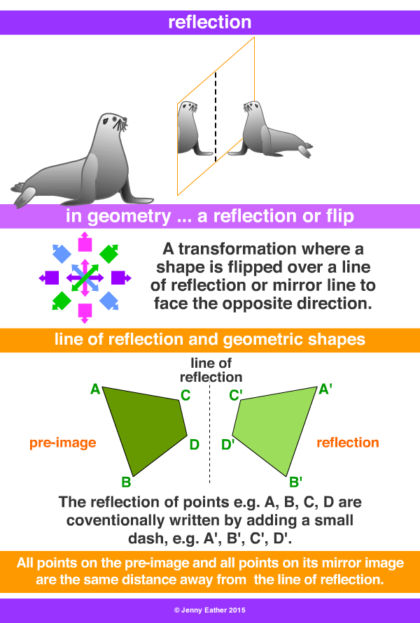 Reflection A Maths Dictionary For Kids Quick Reference By Jenny Eather